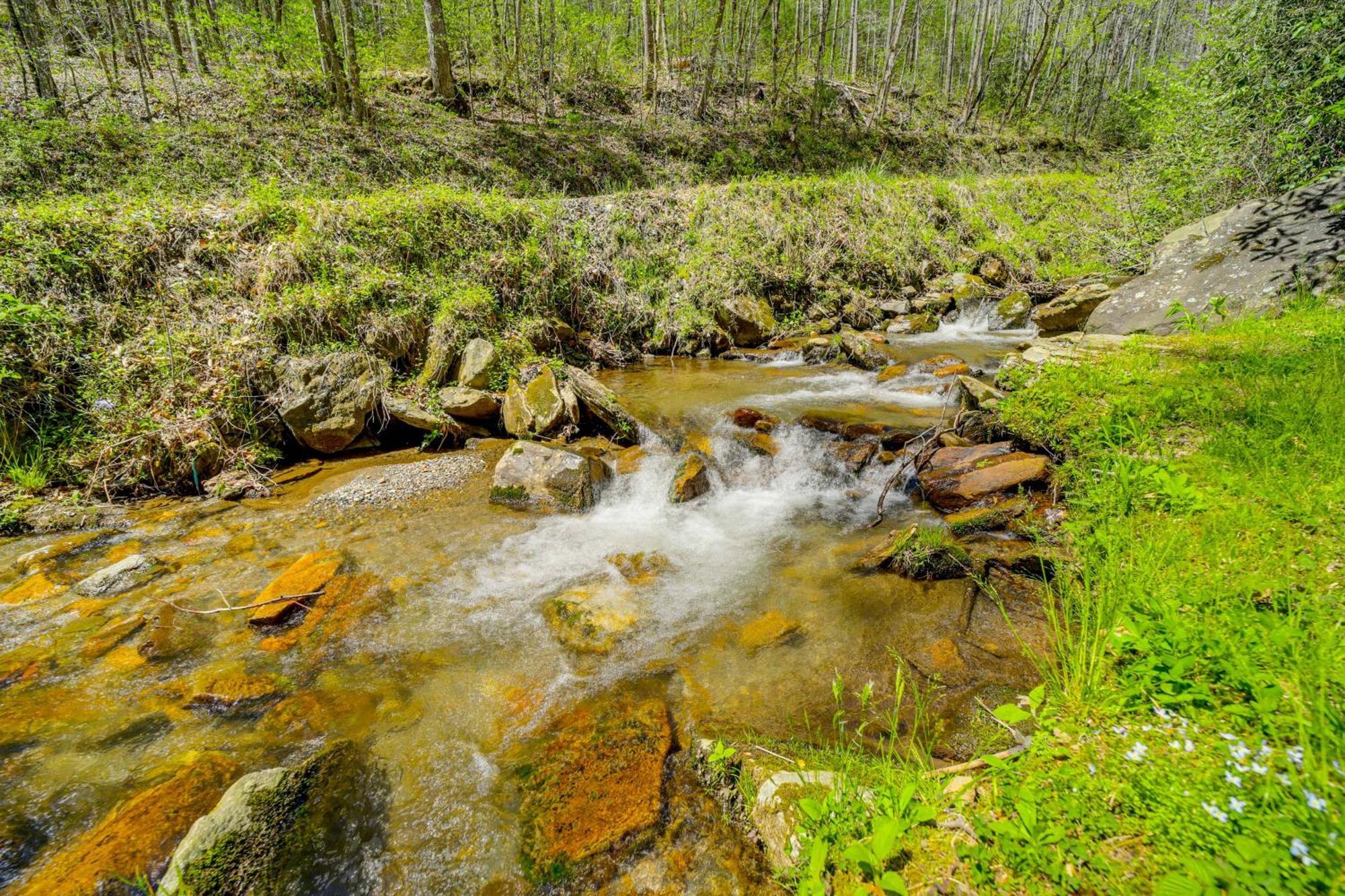 Creekside Whittier Cabin With Fire Pit Near Hiking! Екстериор снимка